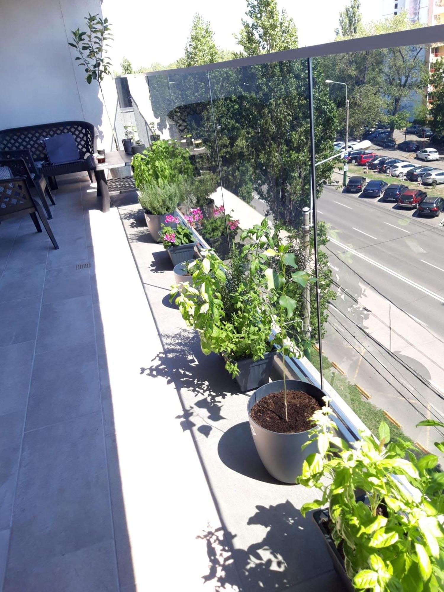Elysse Sunrise Apartment Mamaia Exterior photo